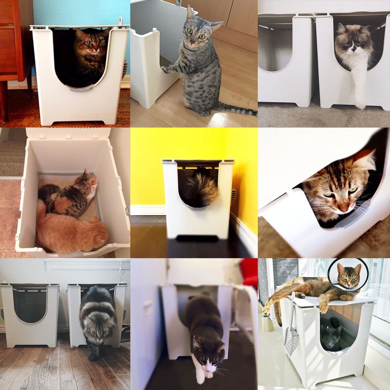 Modkat Katzentoilette Flip zu TOP-Preisen