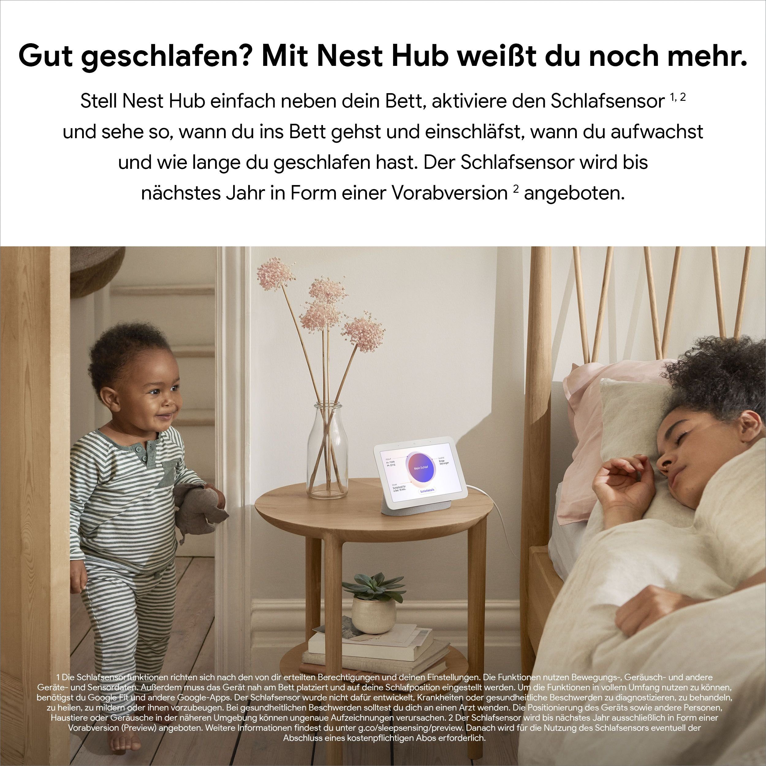 Google Nest Hub (2. Generation) Smart Speaker (Bluetooth, WLAN)