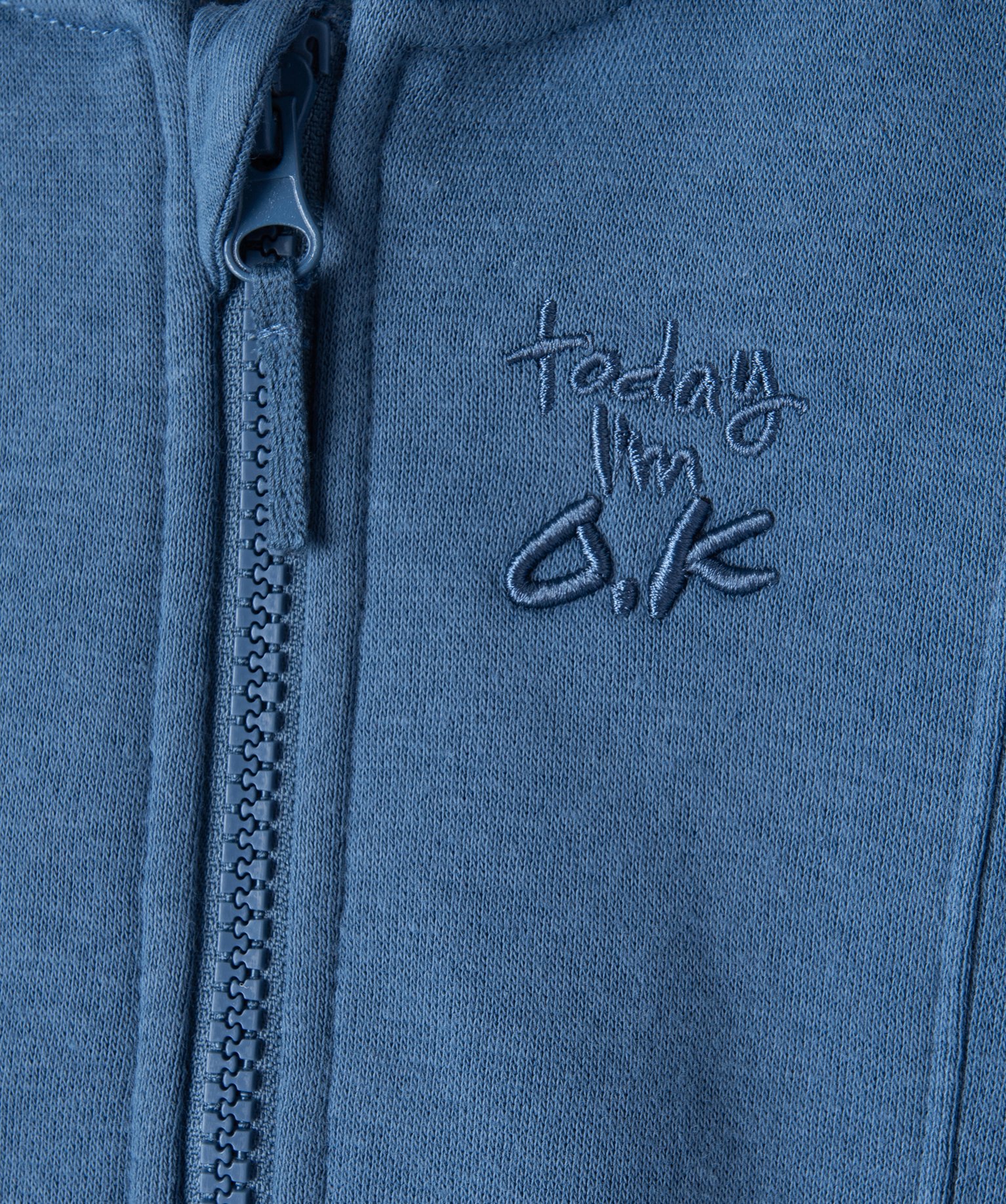 Sweat zippé molletonné à capuche bébé Garçon bleu | GEMO