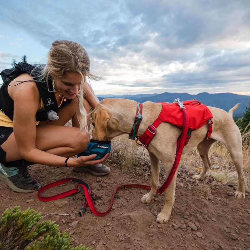 Ruffwear Switchbak Harness - Red Sumac zu TOP-Preisen | bitiba %