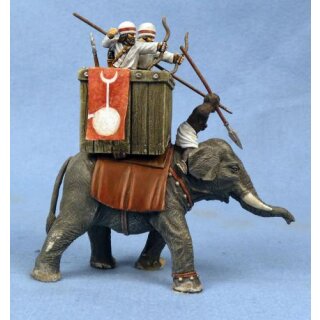 SAGA: Sassanid Elephant