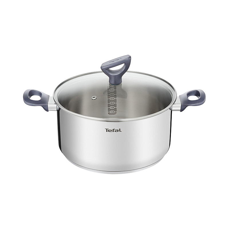 Tefal Gryte 5,2 L ø 24 cm glasslokk Tefal Daily