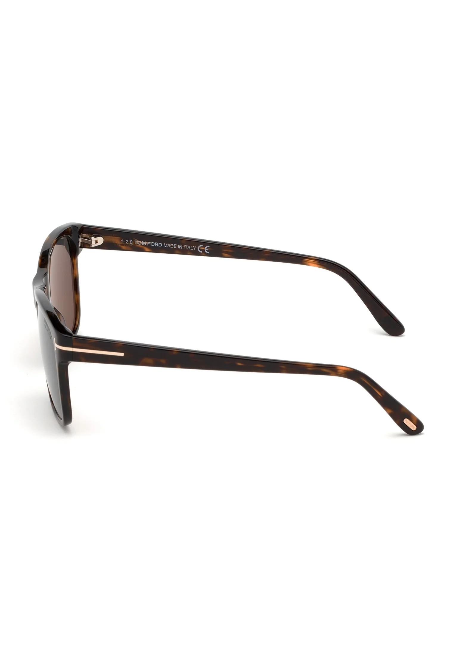 Tom Ford FORMA GEOMÉTRICA - Gafas de sol