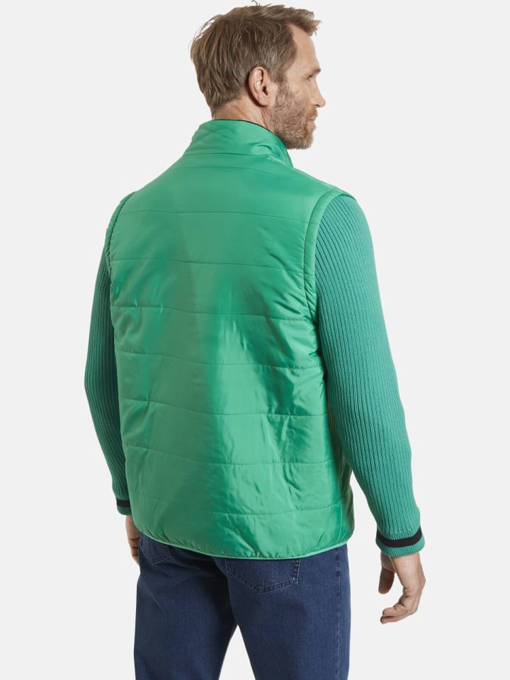 Jan Vanderstorm Jacke LAIURENTY in grün günstig kaufen