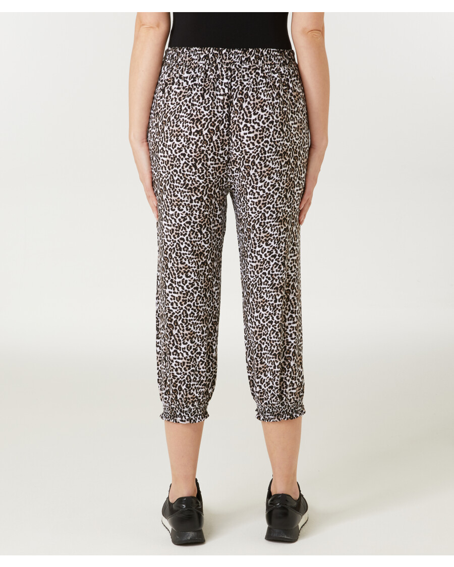 Sindbadhose