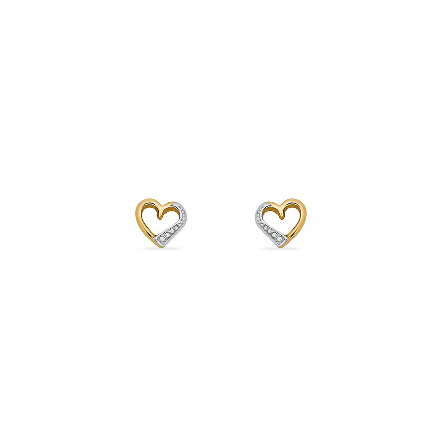 FAVS Ohrstecker