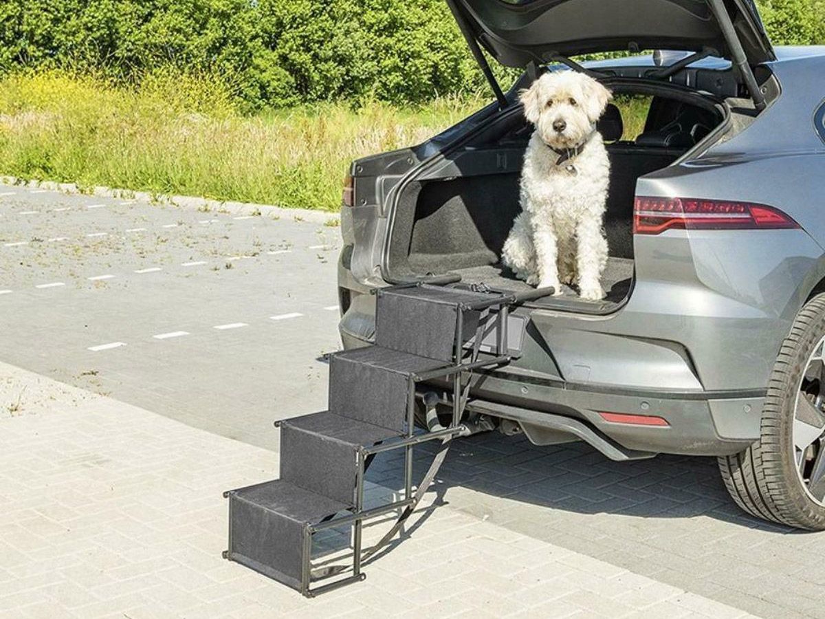 ProPlus faltbare Hundetreppe