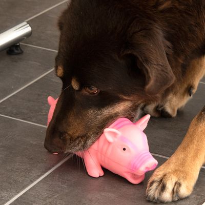 Hundespielzeug Latex-Schwein mit Stimme