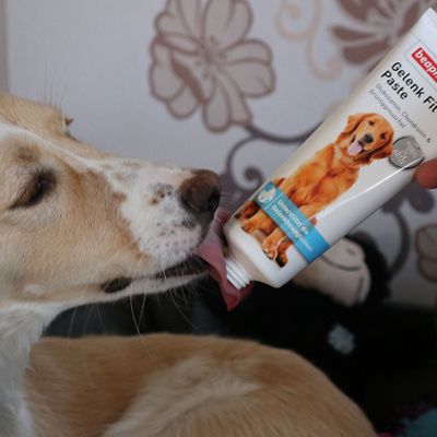 beaphar Gelenk Fit Paste