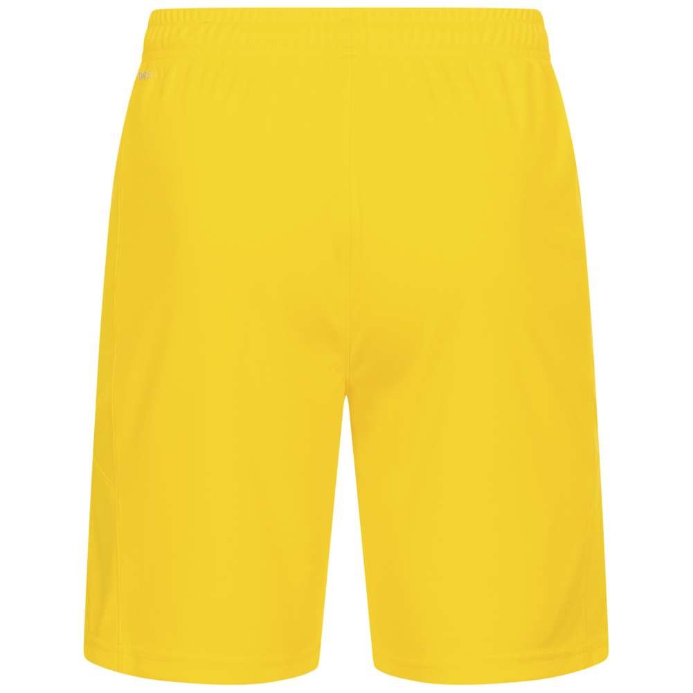 Österreich PUMA Herren Torwart Shorts 756562-06