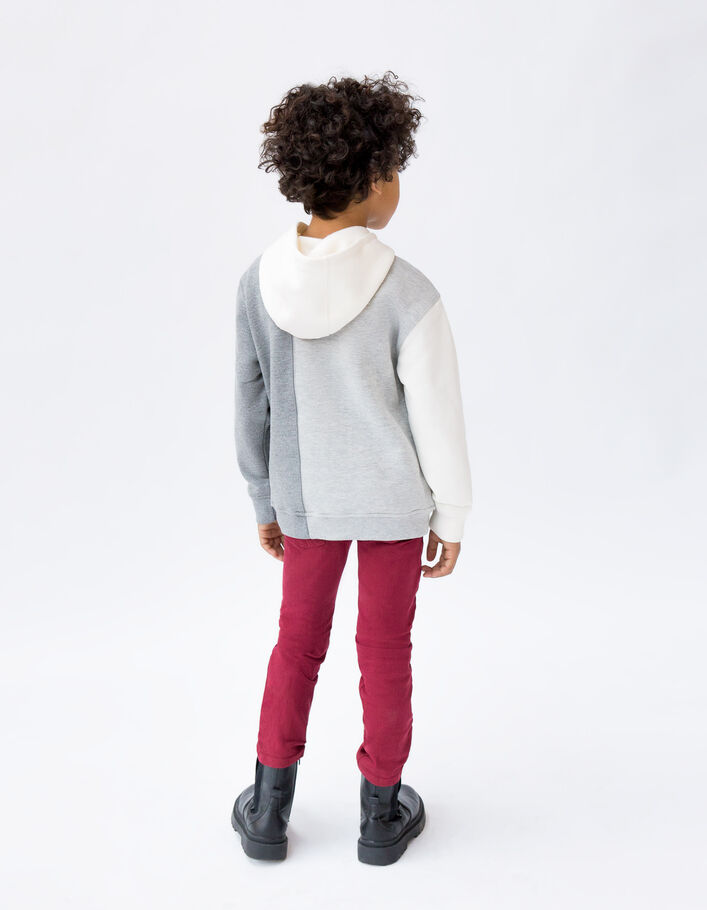 Sweat gris et écru à visuels coupés garçon