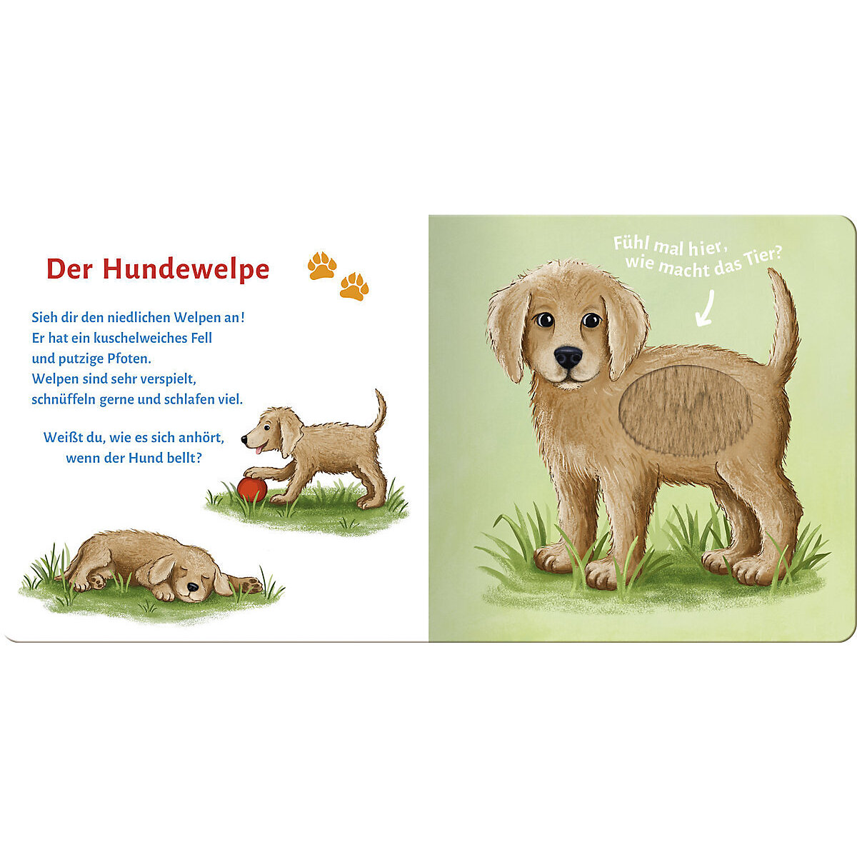 Sound- und Fühlbuch Tierkinder