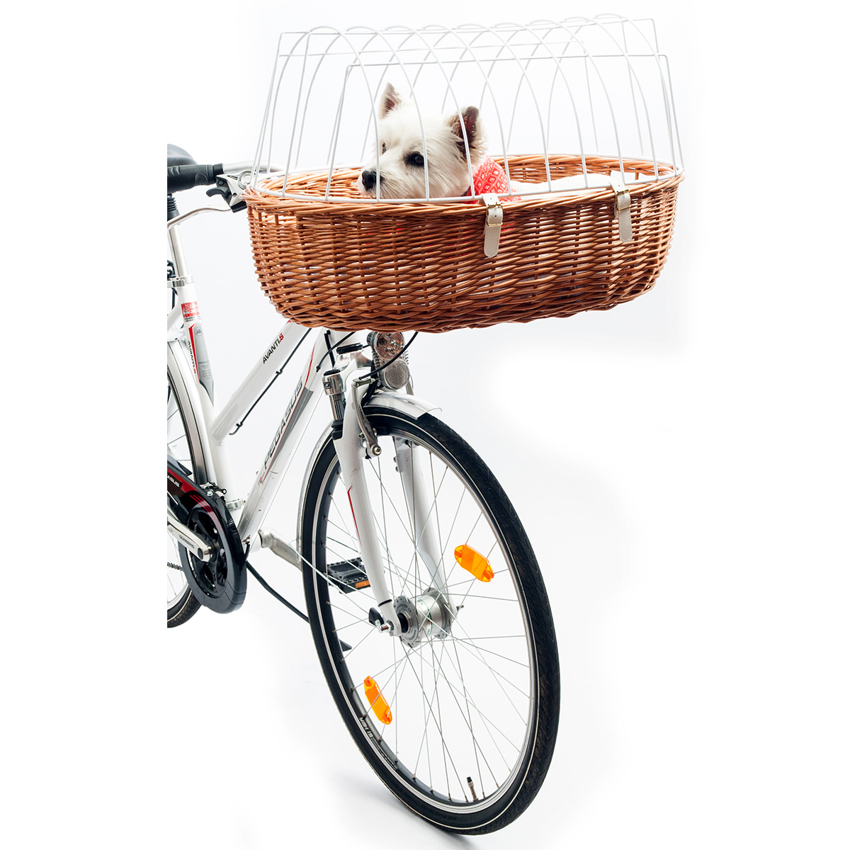 Aumüller Fahrrad-Tierkorb E-Bike fähig kaufen