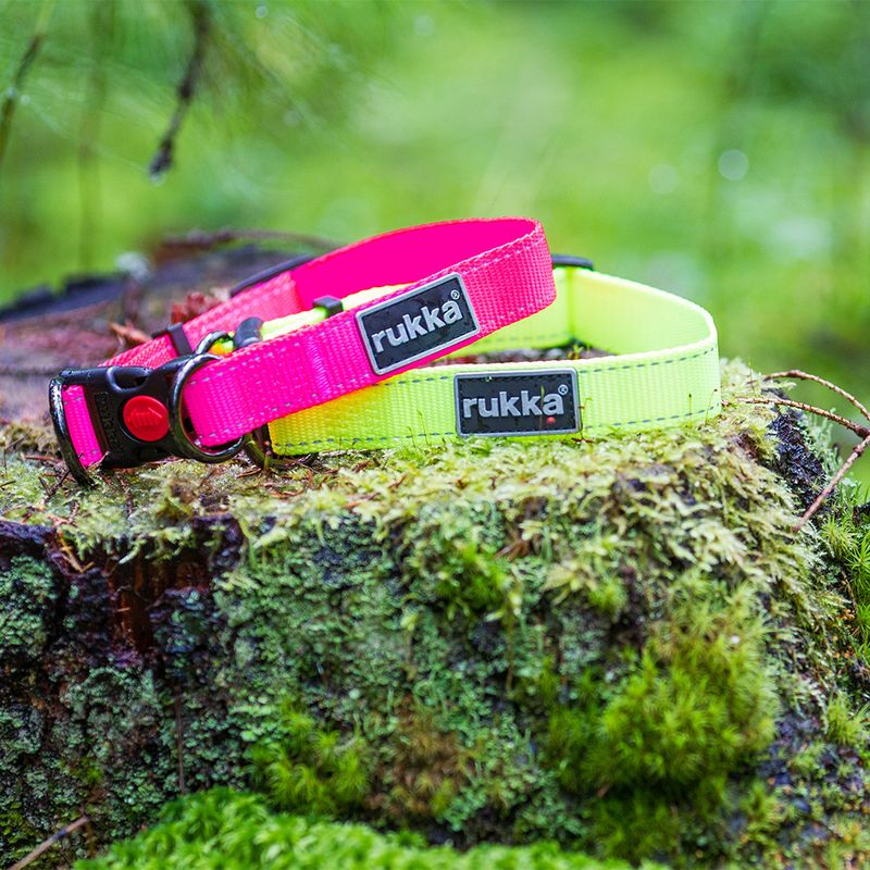 Rukka Bliss Neon Halsband, pink zu TOP-Preisen