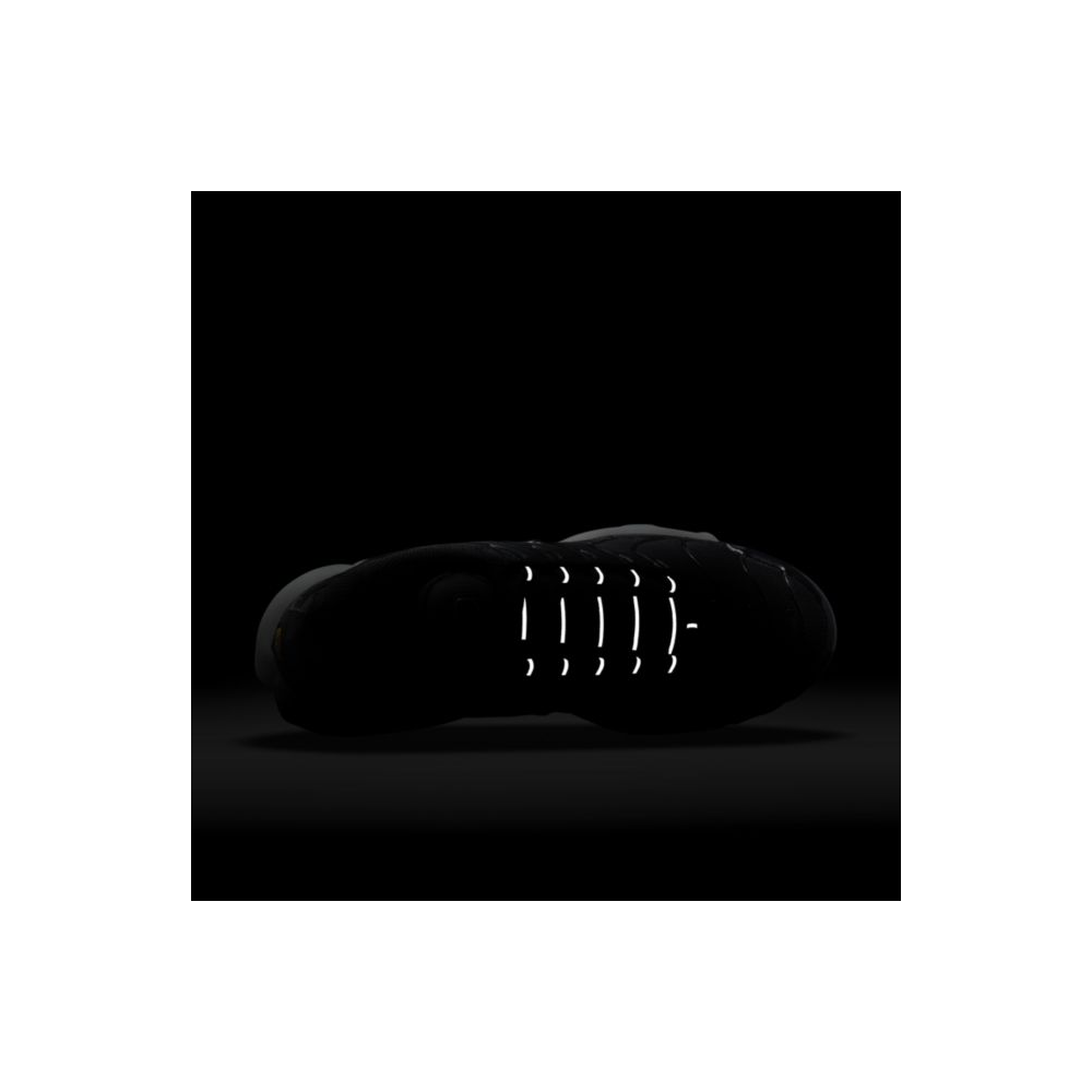Nike Air Max Plus DM2362-001 / schwarz