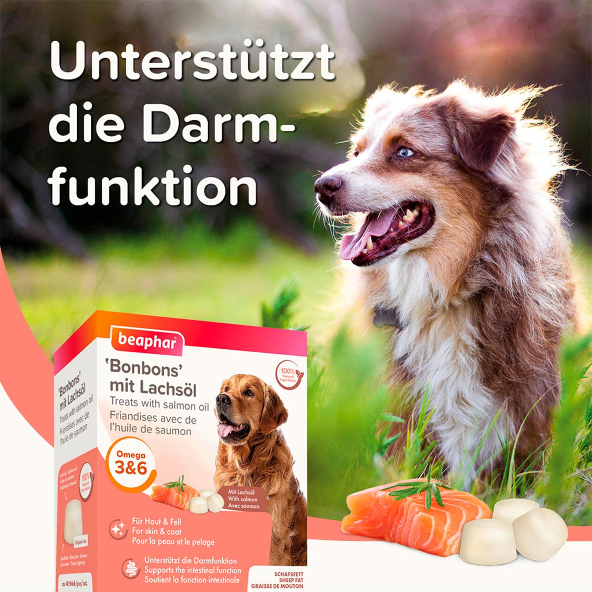 beaphar Lachsöl Bonbons 245g günstig kaufen bei ZooRoyal