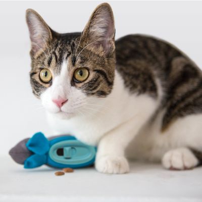 Smartpet Indoor Hunting Feeders