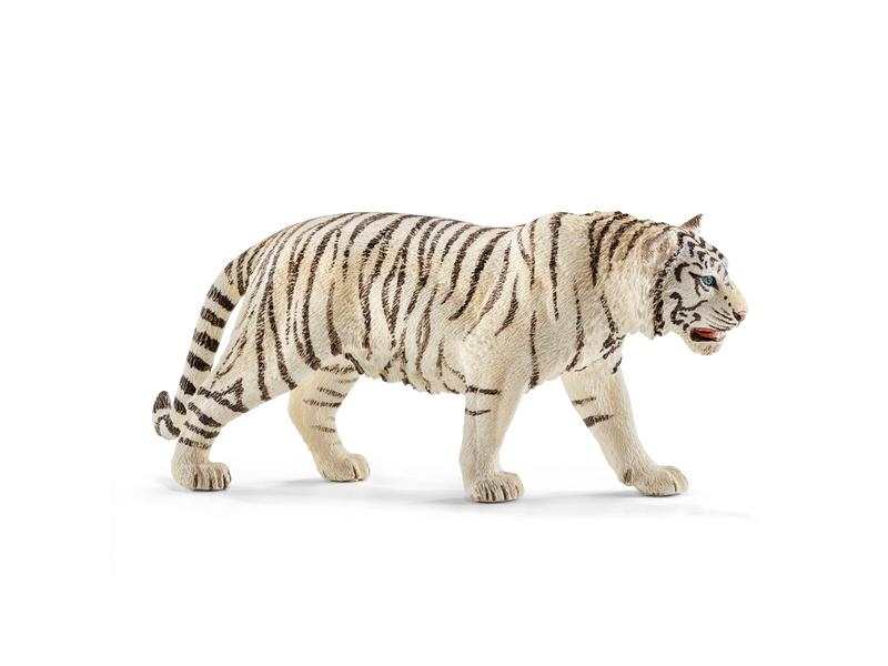 Tigre blanc mâle