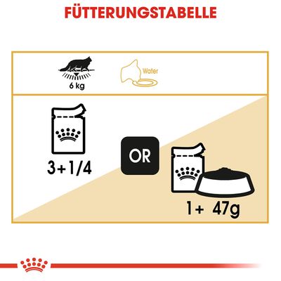 Royal Canin Maine Coon Adult in Soße