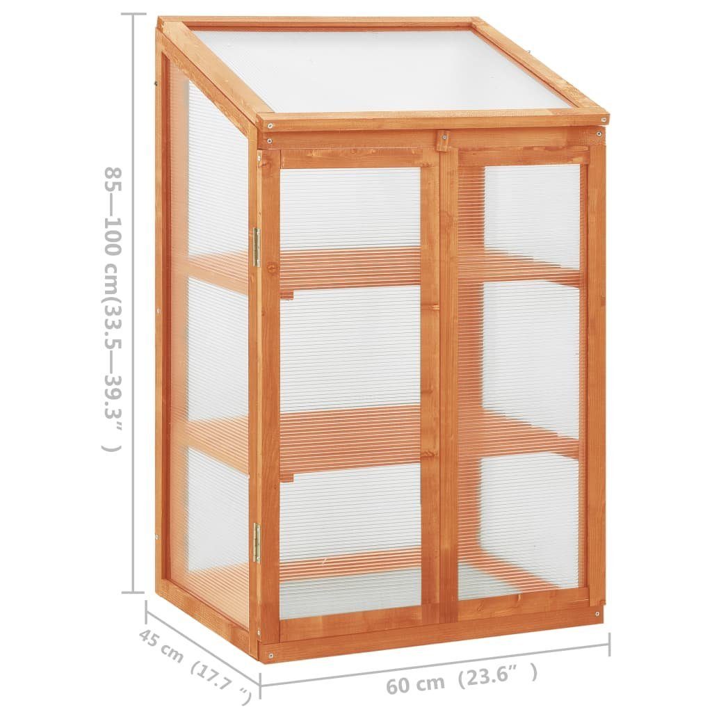 vidaXL Gewächshaus Gewächshaus 60x45x100 cm Tannenholz