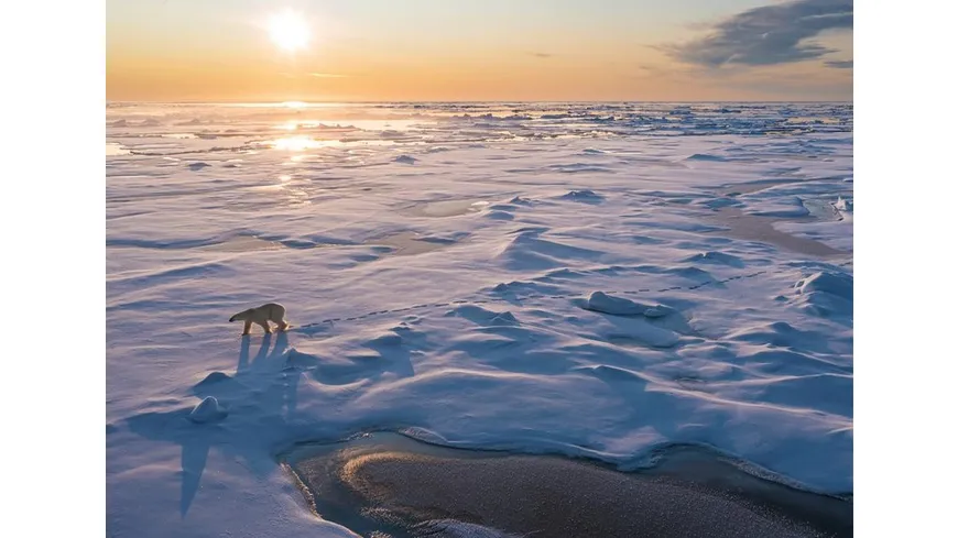 FROZEN PLANET - EISIGE WELTEN II  [2 DVDs]