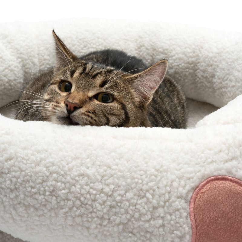 TIAKI Kuschelbett Paw zu TOP-Preisen