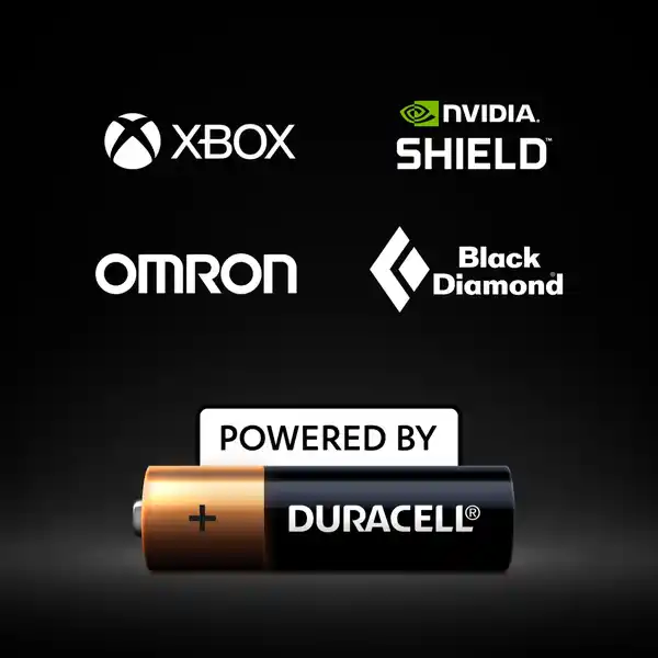 Plus AA Alkaline-Batterien