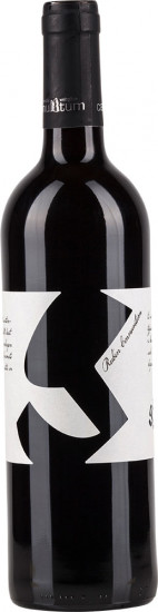 2021 Zweigelt Rubin Carnuntum trocken Bio - Weingut Glatzer