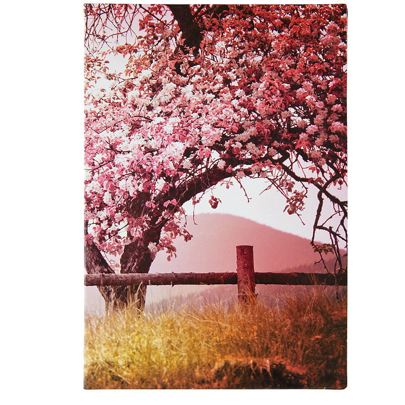 Kort rosa Blomstrende tre