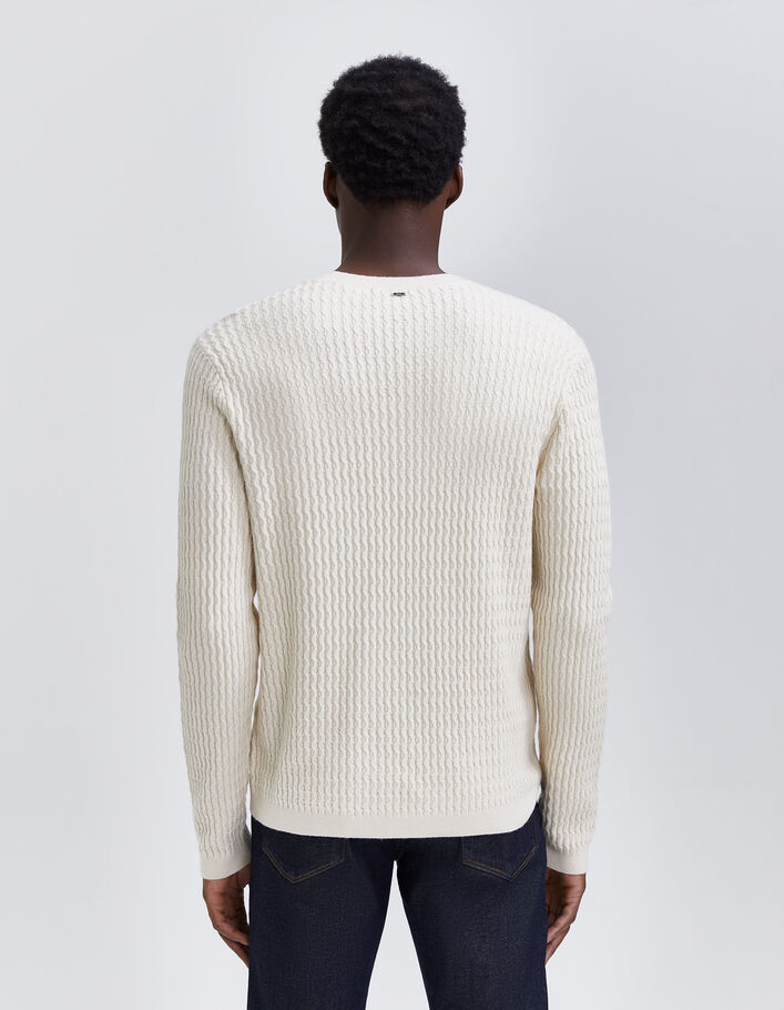 Pull coloris naturel tricot reliefé Homme