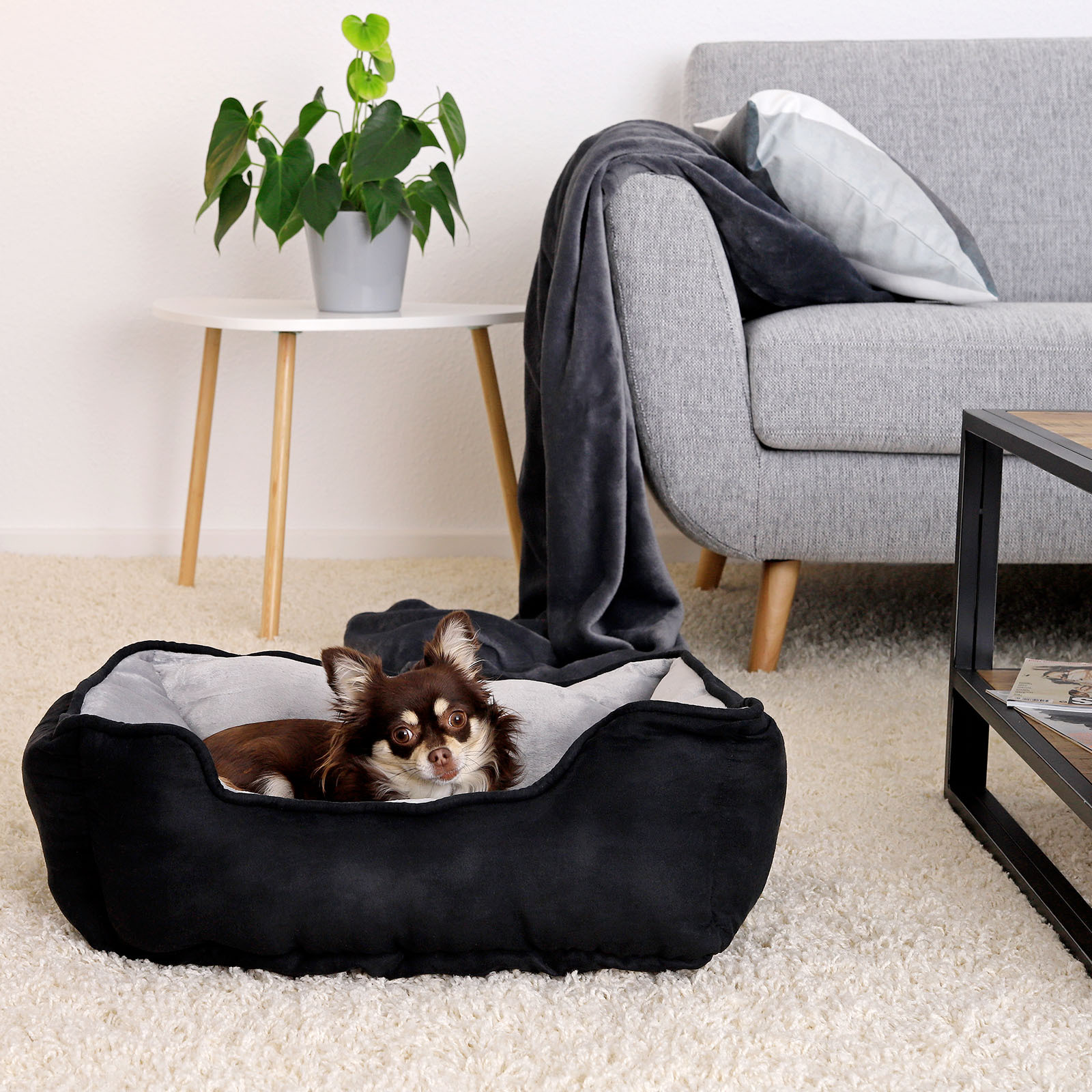 Lionto Hundebetten Lionto 2-in-1 Hundebett Hundekissen S