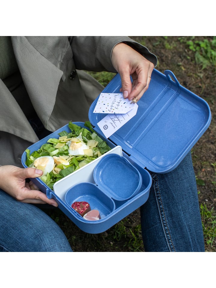 koziol PASCAL MINI - Lunchbox in organic red günstig kaufen onesize