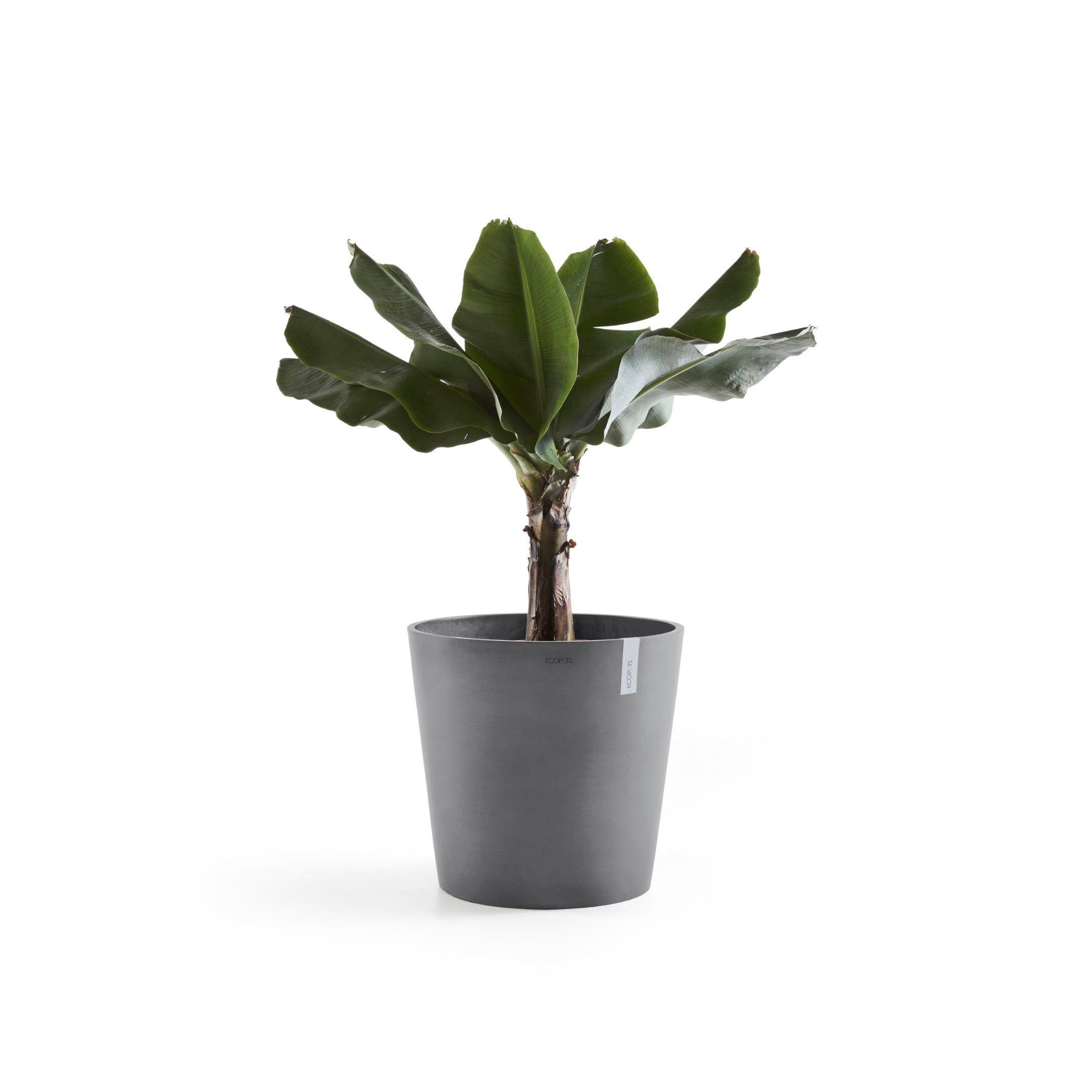 ECOPOTS Blumentopf Amsterdam, ØxH: 50x43,8 cm