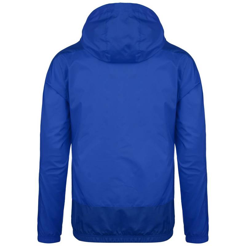 PUMA teamGoal 23 Regenjacke Herren