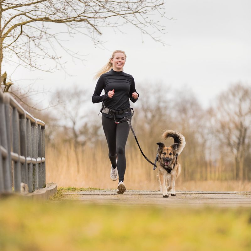 Trixie Jogginggurt mit Leine - grau/schwarz