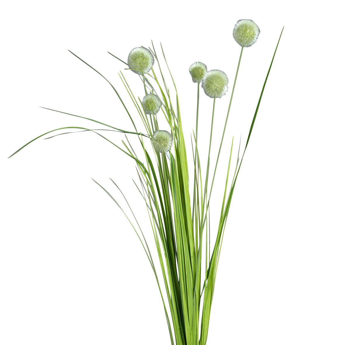 DPIKugelgras 70cm