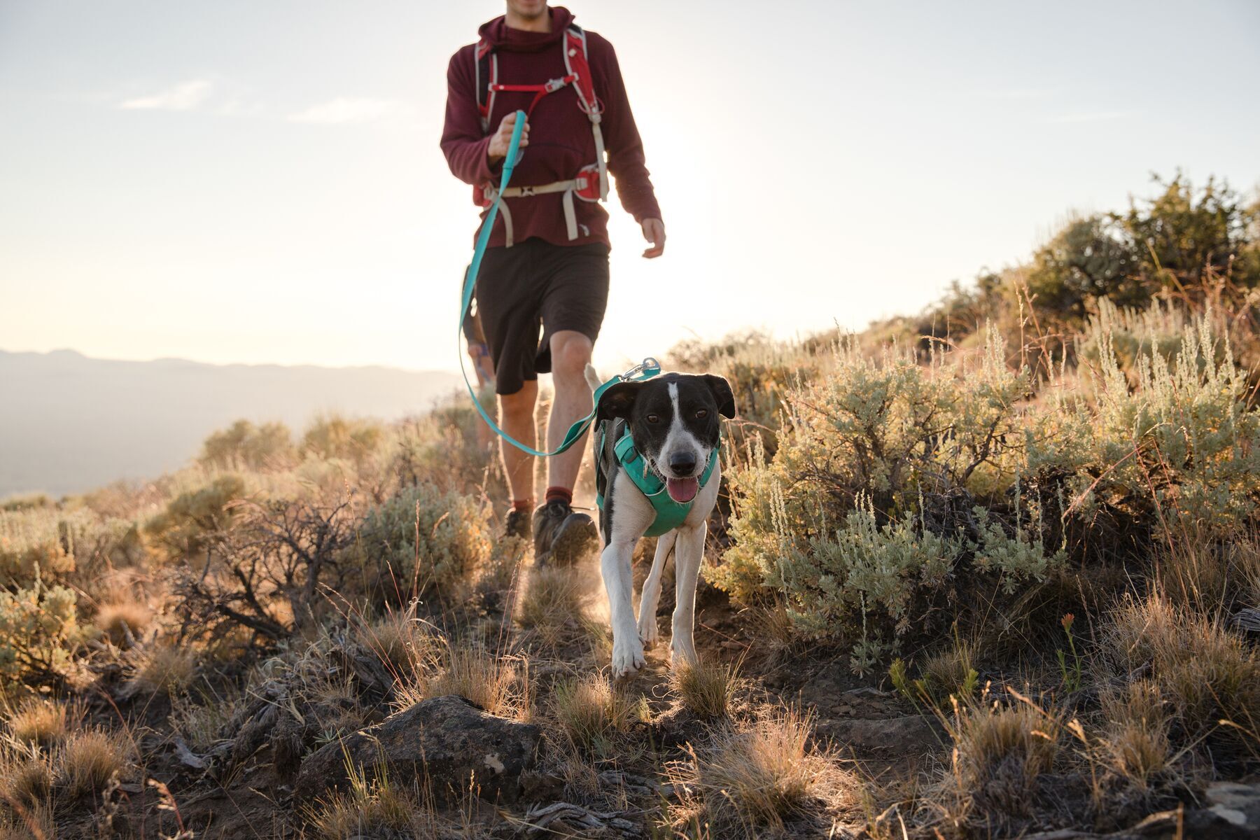 Ruffwear Hundeleinen Ruffwear Front Range™ Leine blau/ türkis