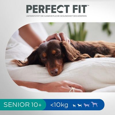 Perfect Fit Senior Hund (<10 kg)