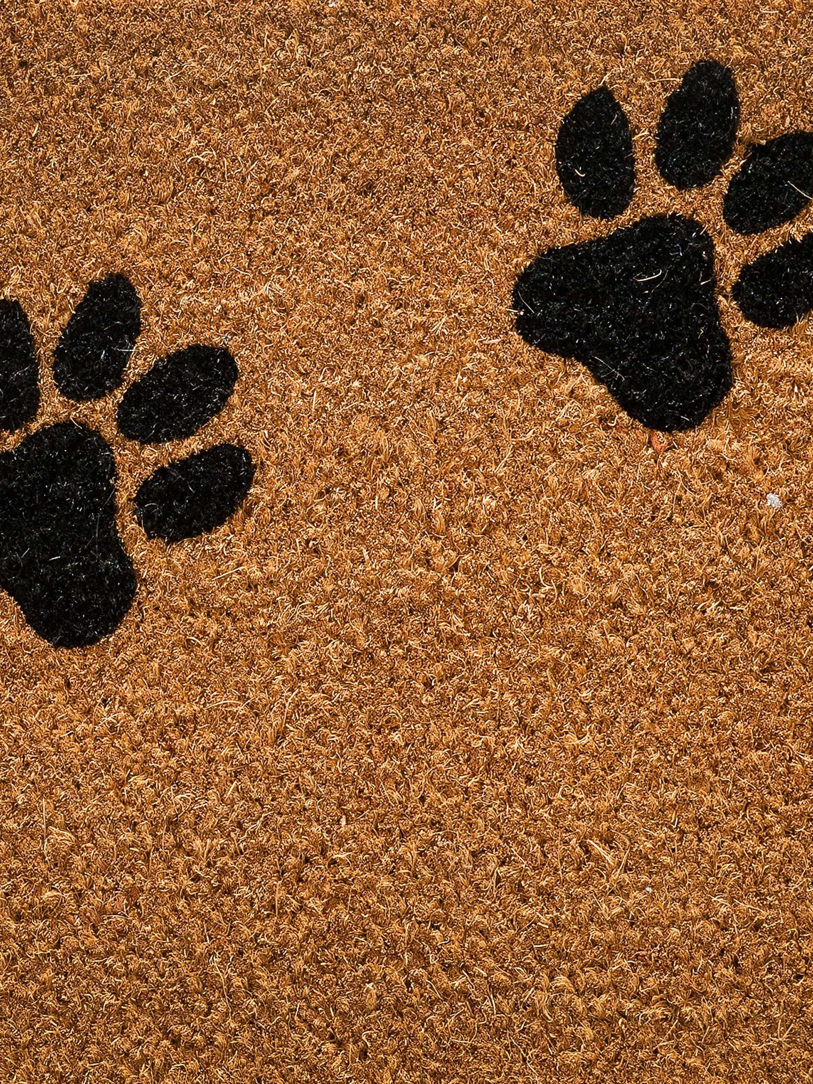 Cochin Fußmatte, Dog Steps