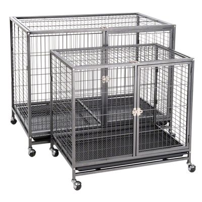 Zimmerkennel Tabby L