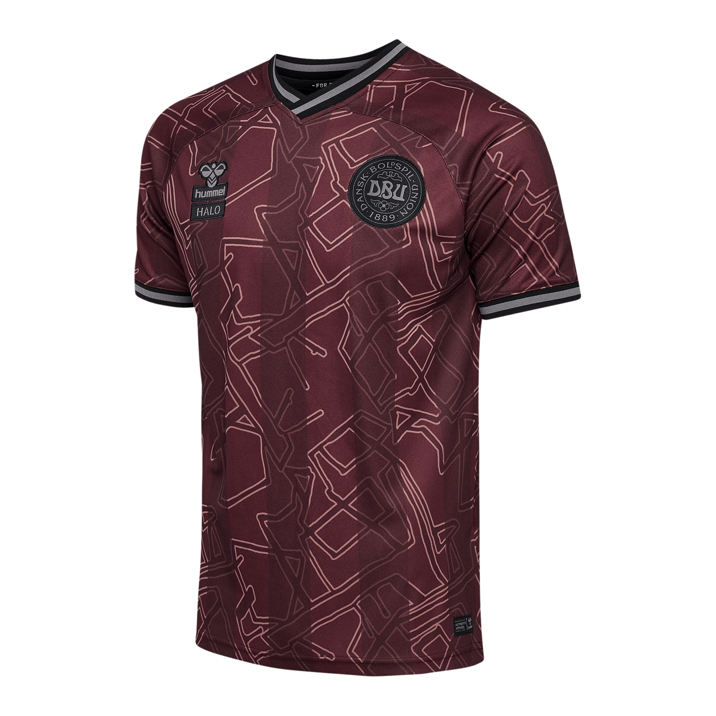 Hummel Dänemark x Halo Trikot 2024 Kids Blau F8186