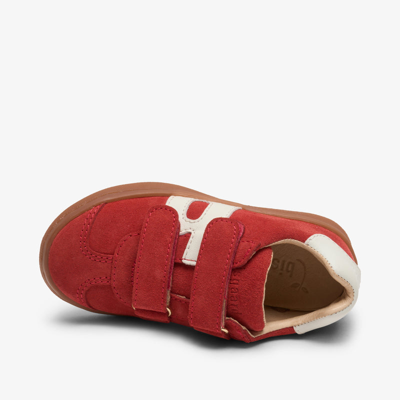 bay v red - Rot