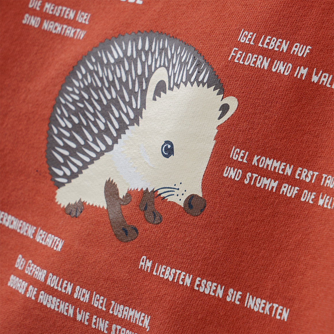 Kinder Sweatshirt mit Igel-Motiv