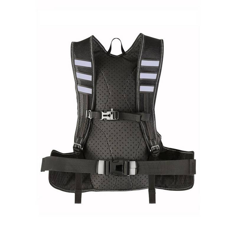 Proviz REFLECT360 Daypack