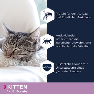 Eukanuba Kitten Getreidefrei 12 x 85 g