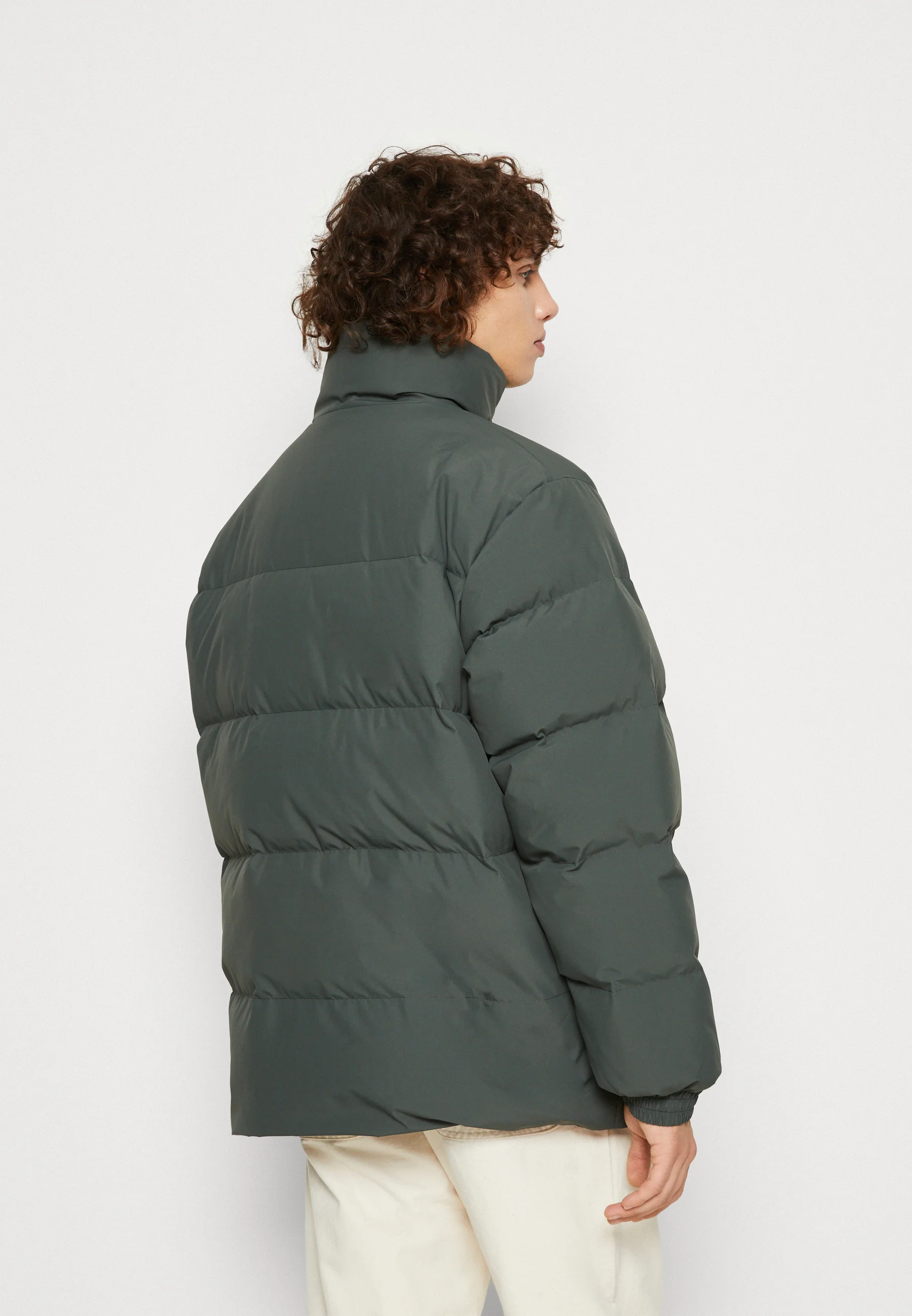 Chaqueta Carhartt WIP DANVILLE - Chaqueta de invierno