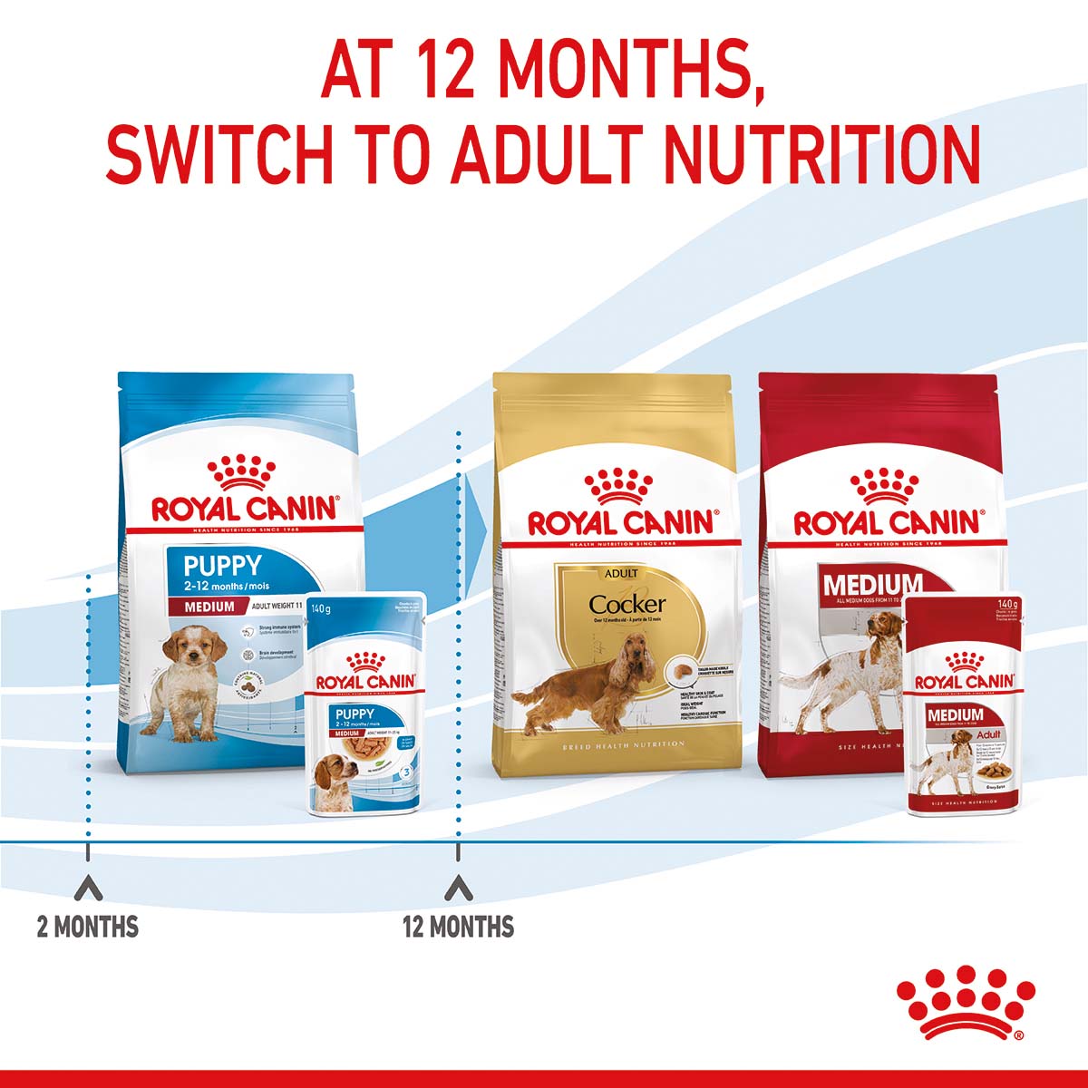 ROYAL CANIN MEDIUM PUPPY Welpenfutter nass für mittelgroße Hunde