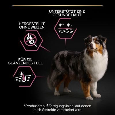 PURINA PRO PLAN Medium & Large Adult 7+ Sensitive Skin
