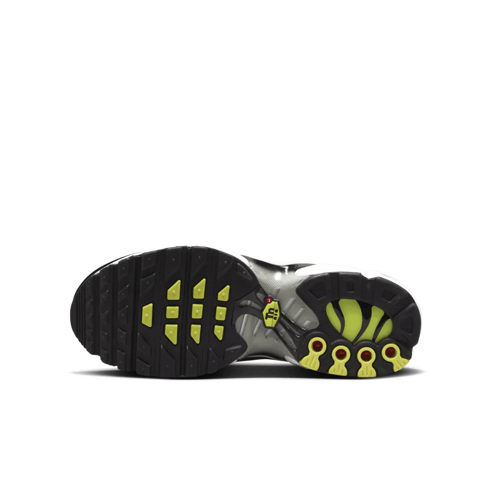 Nike Air Max Plus CD0609-022 / schwarz