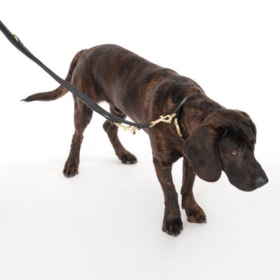 Nomad Tales Calma Halsband, ebony